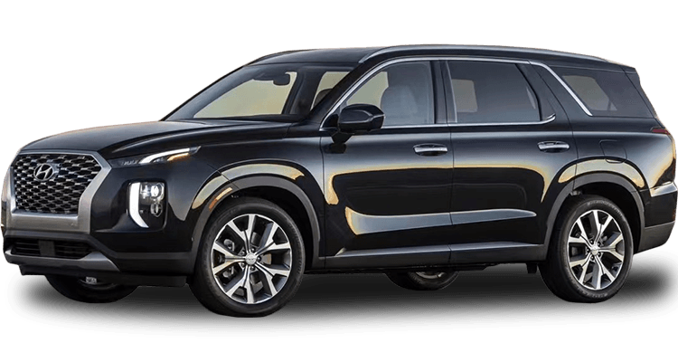 HYUNDAI PALISADE 20-25
