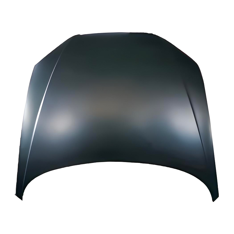 Tudung AUDI A8 D3