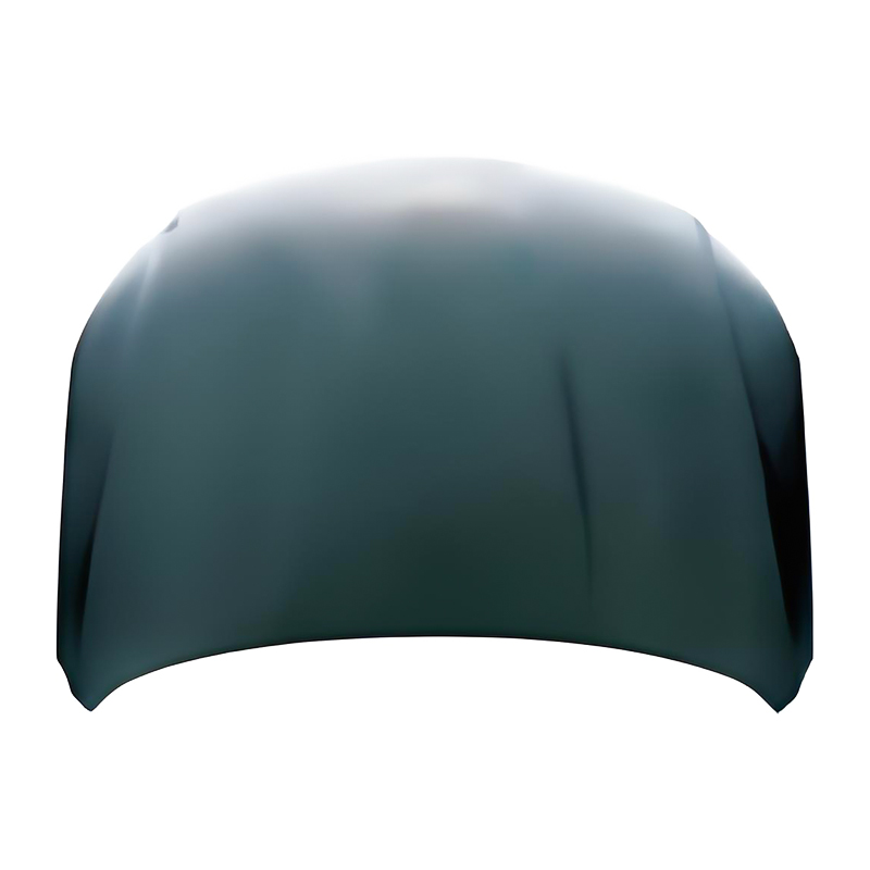 PASSAT CC 08 Tudung