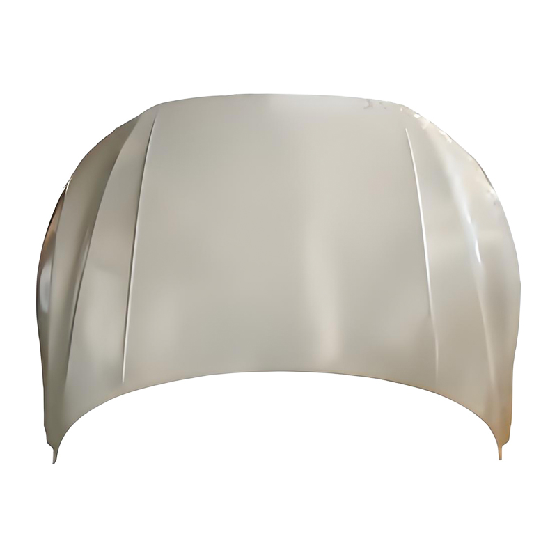 Tudung PASSAT CC 19